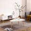 Table de salon en forme d'œuf de 950 mm: élégante et fonctionnelle, blanc et chêne