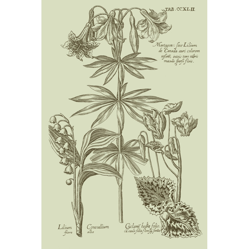 Garden Of Flora IV - Wrapped Canvas Print, 46cm H x 30cm W