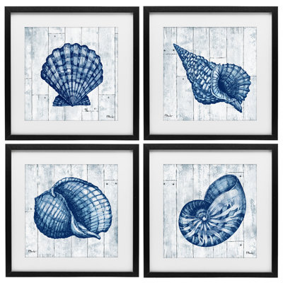 Coastal Timberland Seashells, ensemble de 4 reproductions encadrées sous verre, design par Paul Brent