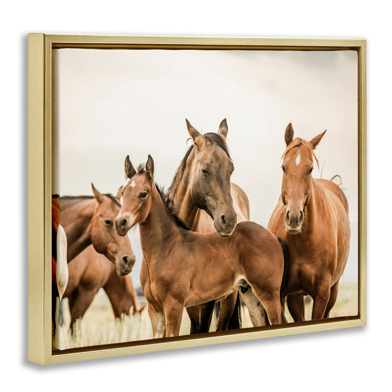 Cheval et poulains, reproduction d'art sur toile, Cadre flottant métallique doré, H 17 po x l 21 po