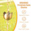 Metal Rain Chain