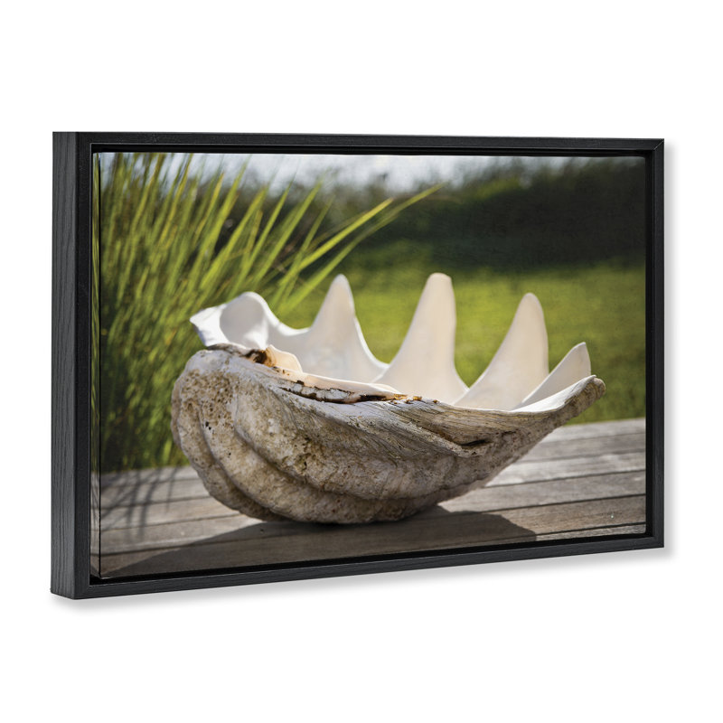 Cadre flottant Sea Treasure Shell, design par Seven Trees Design, H 17 po x l 25 po, Cadre flottant noir de jais