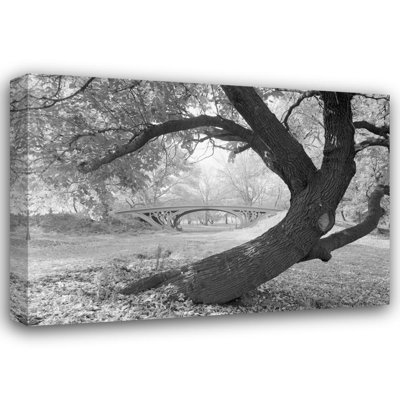 Pont Cetral Park, New York