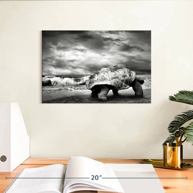 Tortue géante Brampt BW, H 8 po x l 12 po