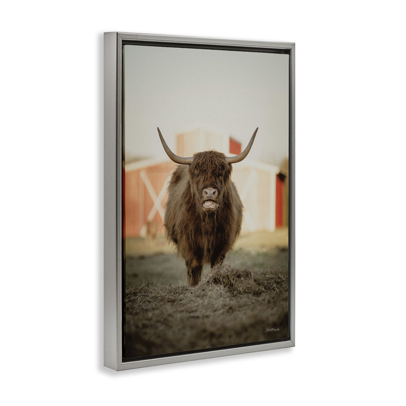 Bétail sur une ferme par Dakota Diener, Cadre flottant gris lustré, H 25 po x l 17 po