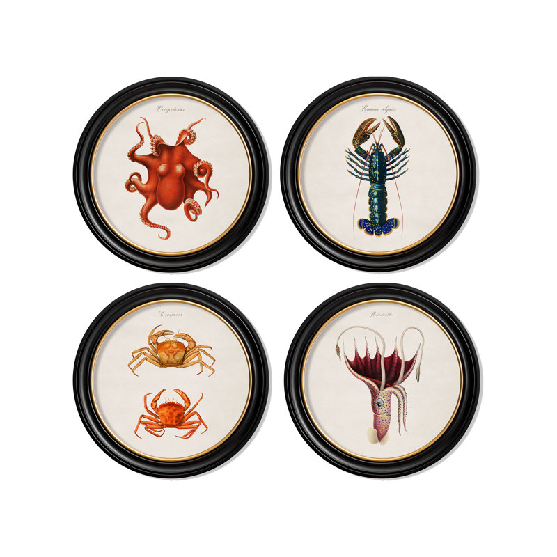Octopus by Mid-1800s - Single Picture Frame Print on Archival Matt 230gsm Paper, Beige