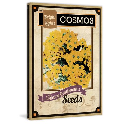 Flower Packet Cosmos' Painting Print on Wrapped Canvas -  Marmont Hill, MH-FMKIT-144-2-C-45