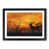 Black selected