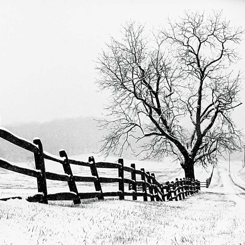" Along The Way ", 12" H x 12" W x  1.25" D