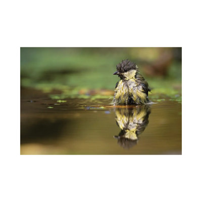 At The Mirror By Marco Pozzi - Wrapped Canvas Photograph by Marco Pozzi - Wrapped Canvas Print
