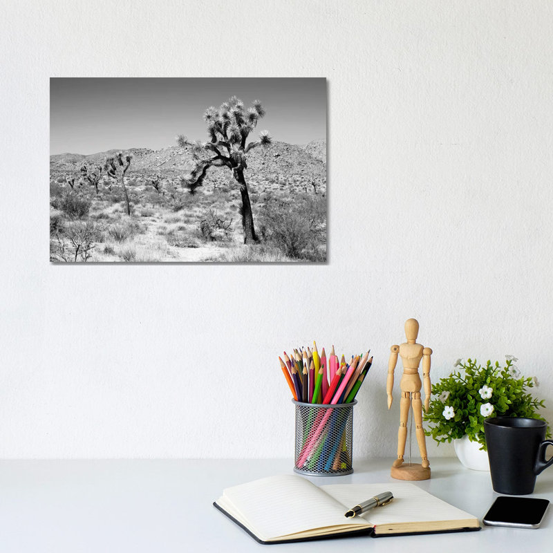 Black California Series - Joshua Trees Desert - Wrapped Canvas Print, 20.32 cm H x 30.48 cm W
