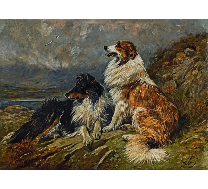 "Collies on the Moor" par John Emms - Art mural sur toile tendue avec châssis, H 17 po x l 24 po