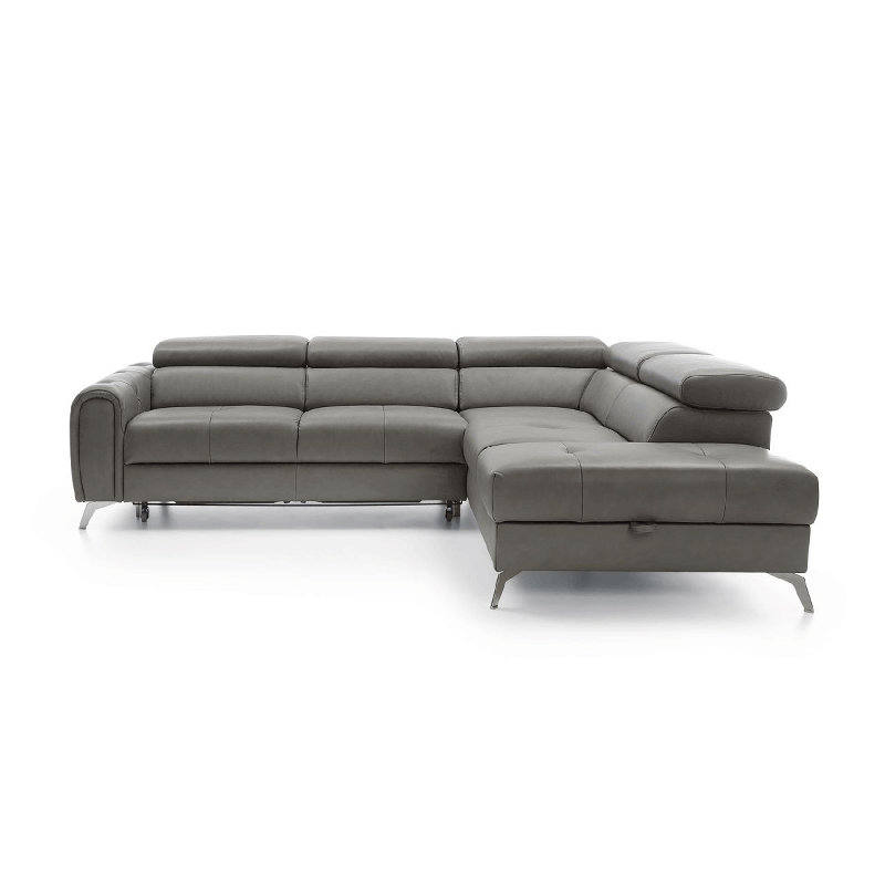 Camelia Sectional Sectional Sofa Bed