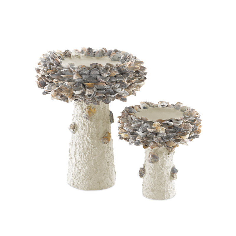Oyster Shell Birdbath, 21.5" H x 17.5" W x 17.5" D