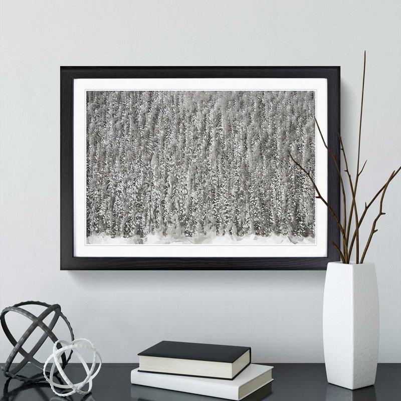 The Winter Forest in Canada in Abstract - Framed Print, Black, 50cm H x 76cm W x 2cm D