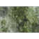Premium Machine Washable Cerrito AMF590 Green 5' x 7'6" Rug