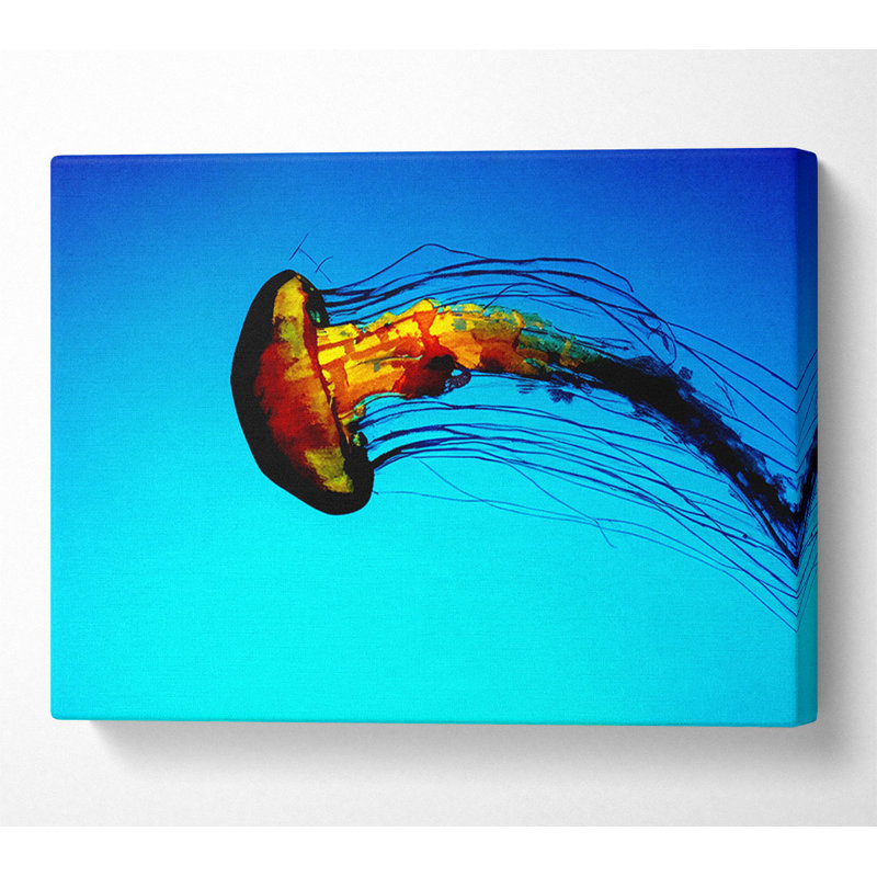Ocean Jellyfish - Wrapped Canvas Art Prints, 50.8cm H x 81.3cm W x 10cm D