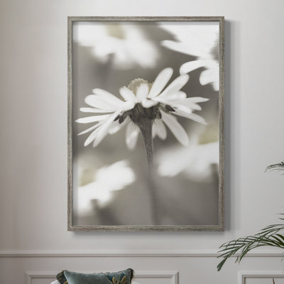 Stylized Daisy II Framed Print - Solid Wood