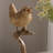 Sing Bird On Branch Lifelike Resin Bird Home Tabletop Decor