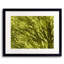Dusk As Dawn Print by Drew Gaffney-65852665-65827411