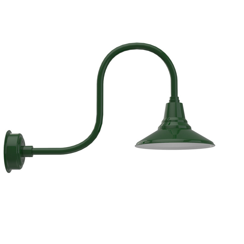 Luminaire de grange d’extérieur à del Albali, H 9 po x l 12 po x P 17 po, Vert rétro