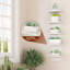 5 Piece Floating Shelf-667670489