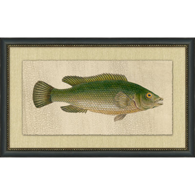 Fish Study 1 Painting
