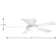 Waxler 52'' Ceiling Fan with LED Lights