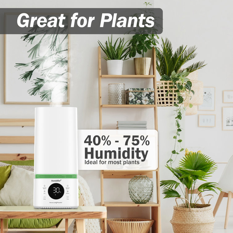 https://assets.wfcdn.com/im/77424572/resize-h755-w755%5Ecompr-r85/2310/231059186/Advanced+Pure+Air+2.11+Gallons+Cool+Mist+Ultrasonic+Tabletop+Humidifier+with+Adjustable+Humidistat+for+800+Cubic+Feet.jpg