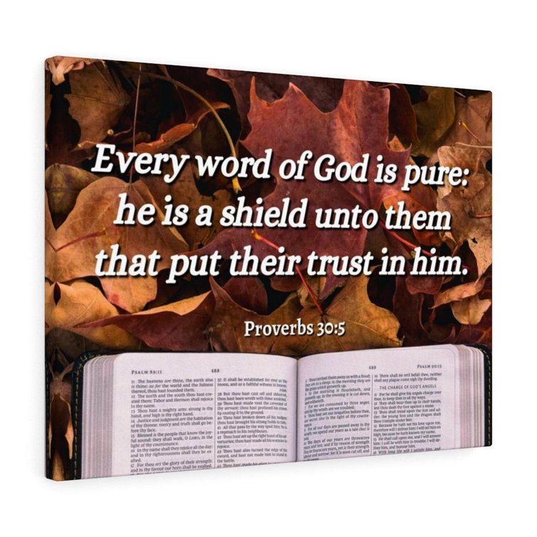 A Shield Proverbs 30:5 - Wrapped Canvas Print