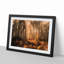 Forest in an Orange Glow - Picture Frame Painting Print-55577648-55577644