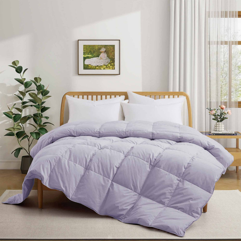 Édredon en duvet de coton biologique toutes saisons Puredown, Édredon très grand, Mauve