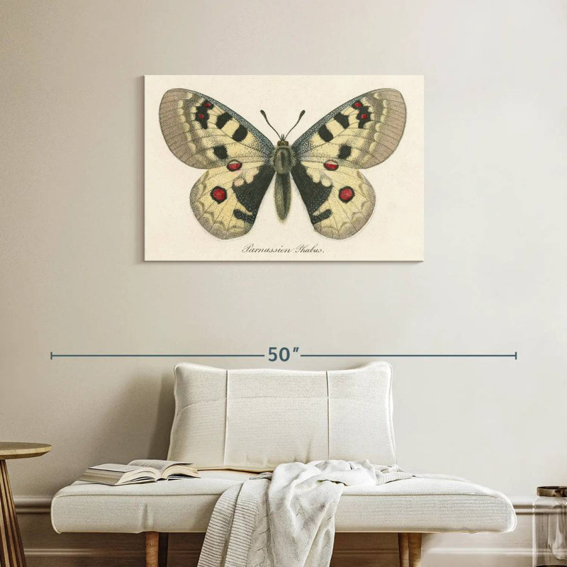 Brampt natures papillon III, H 24 po x l 36 po