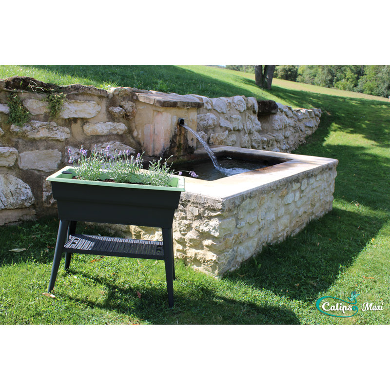 Raised Garden Bed