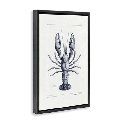 Cadre flottant à spéculation scientifique de type homard, design par Tina Higgins Designs Inc.