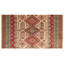 Oriental Area Rug in Green