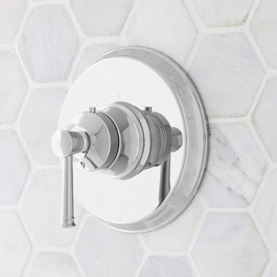 Beasley Thermostatic Shower Set with 0.75” Valve