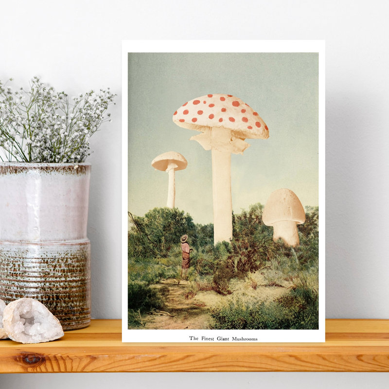 Print, 45.72cm H x 30.48cm W