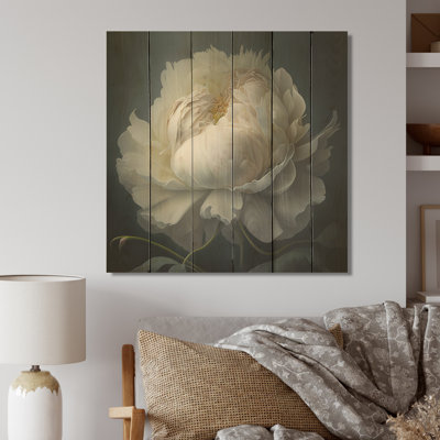 " White Blossoming Peony On Black I " Print