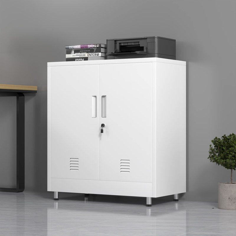 2 -Door Storage Cabinet, White