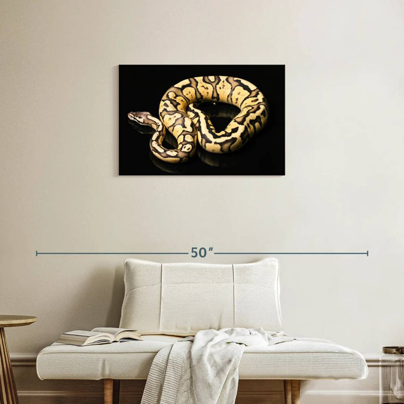 Brampt Female Python Snake, 20" H x 30" W