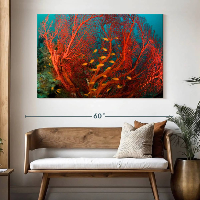 Fire Coral, 34" H x 51" W