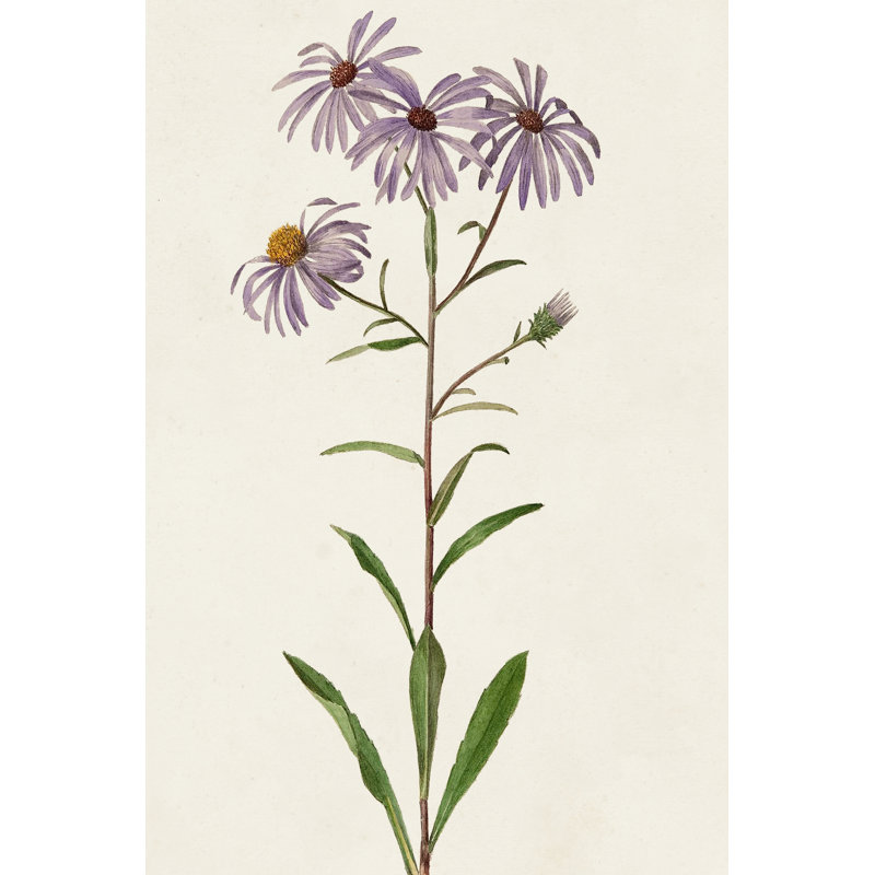 Mauve Garden Flowers III - Wrapped Canvas Painting, 30cm H x 20cm W