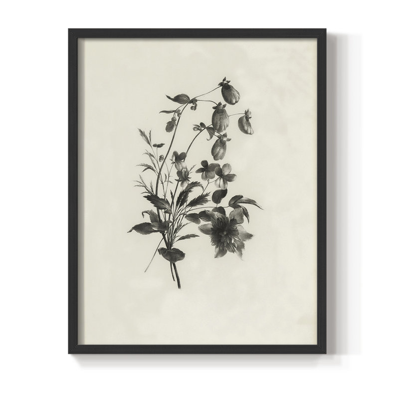 Reproduction florale vintage encadrée «Cccxxxv» - bois massif