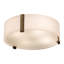 4 - Light Semi Flush Mount