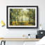 View of the Forest in the Spring - Framed Print-56734464-56734466