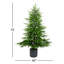 Sapin de Noël-972129109