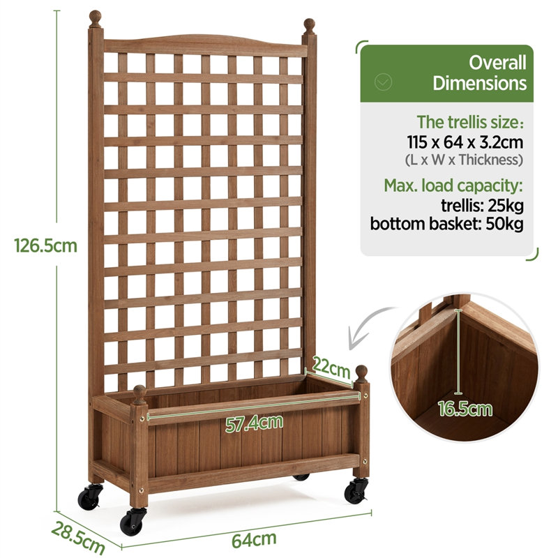 Raised Garden Bed with Trellis