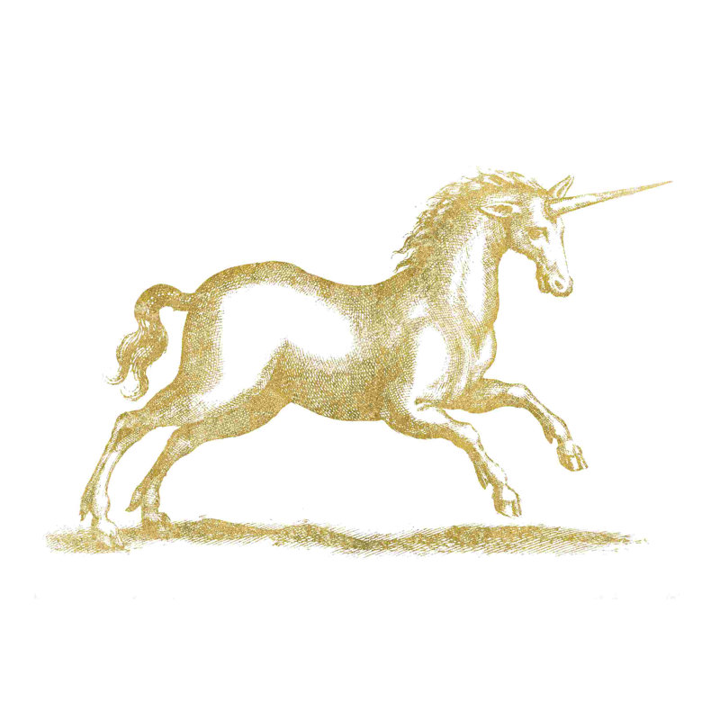 " Unicorn Fantasy " by Wild Apple Portfolio, 8" H x 12" W
