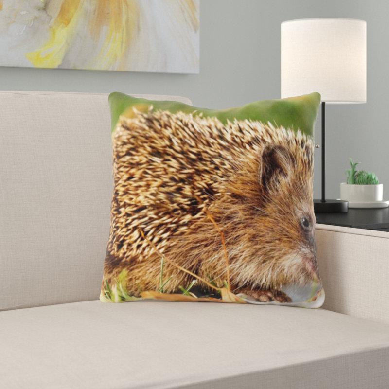 Coussin hedgehog